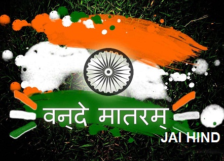 essay on celebration of independence day in school essay on celebration of independence day in school
