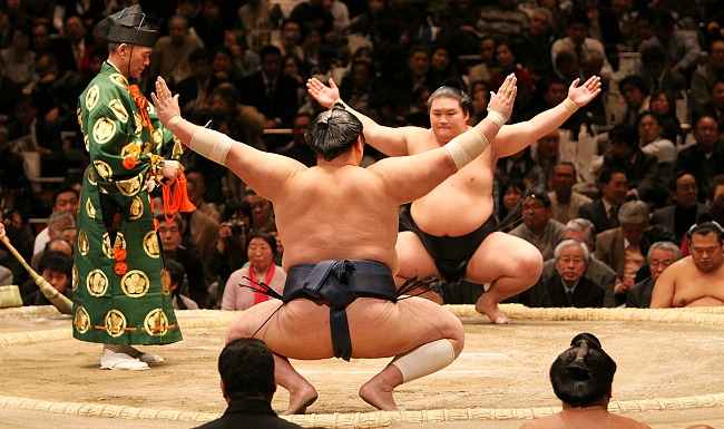 Image result for mười điều thú vị về sumo