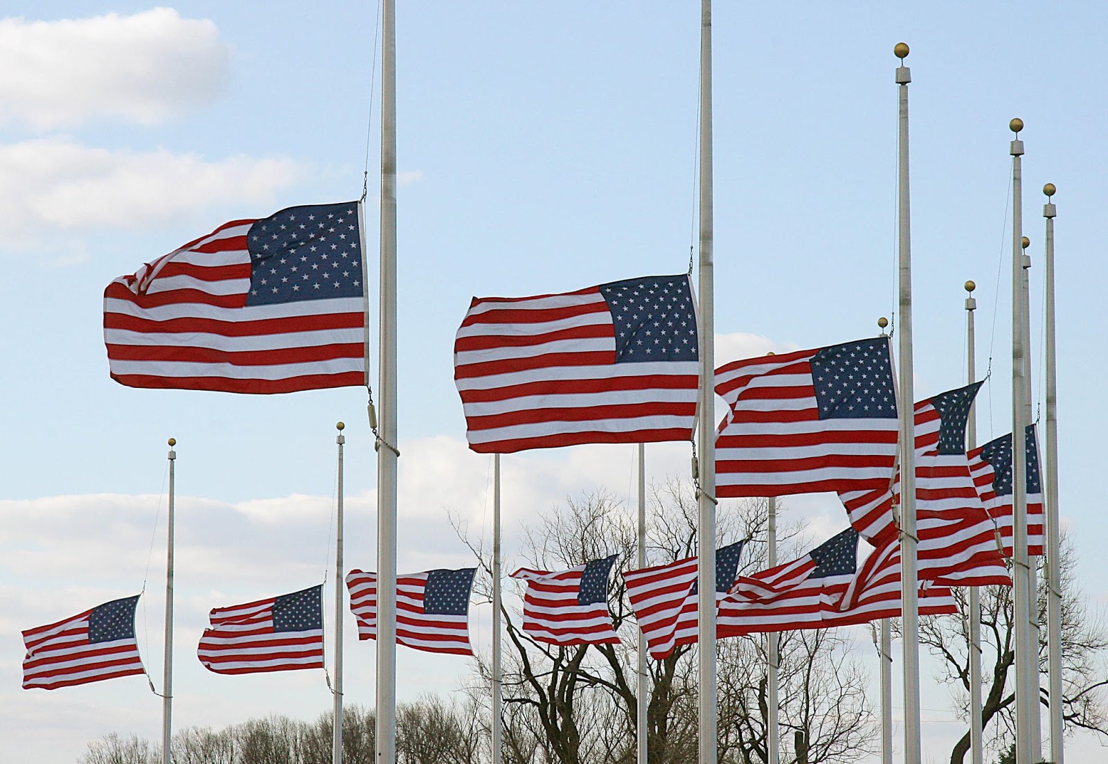 Flag posts