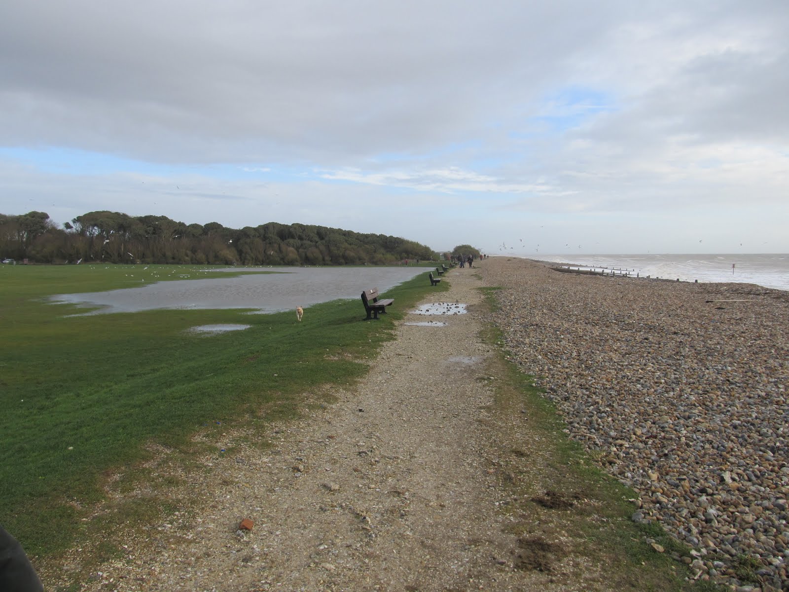 Dobbinland Goring by Sea