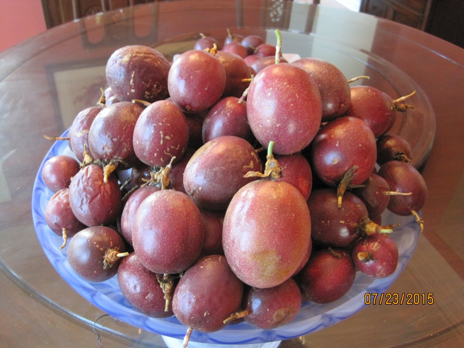 Passion Fruit starts flowering