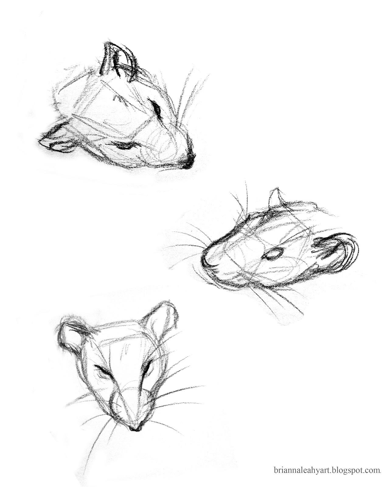 Brianna Leahy Art Sketches Bernard the Rat