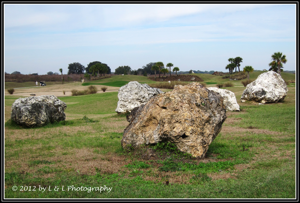 Images The Art of Photography Florida limestone
