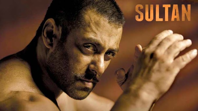 Sultan Movie Box Office Collections With Budget & its Profit (Hit or Flop)