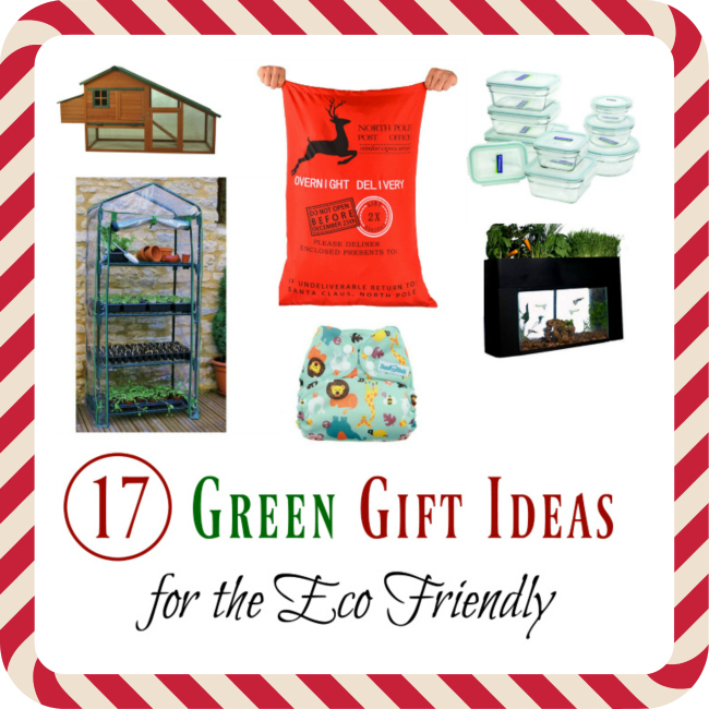 17+ Green Gift Ideas for the Eco Friendly DIY Danielle