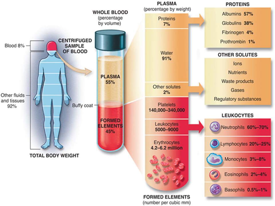 Body System Blood Components