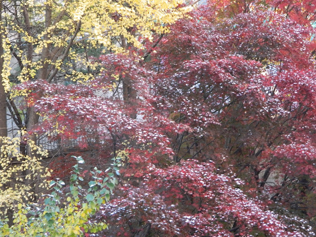 First snowfall in Seoul for 2014