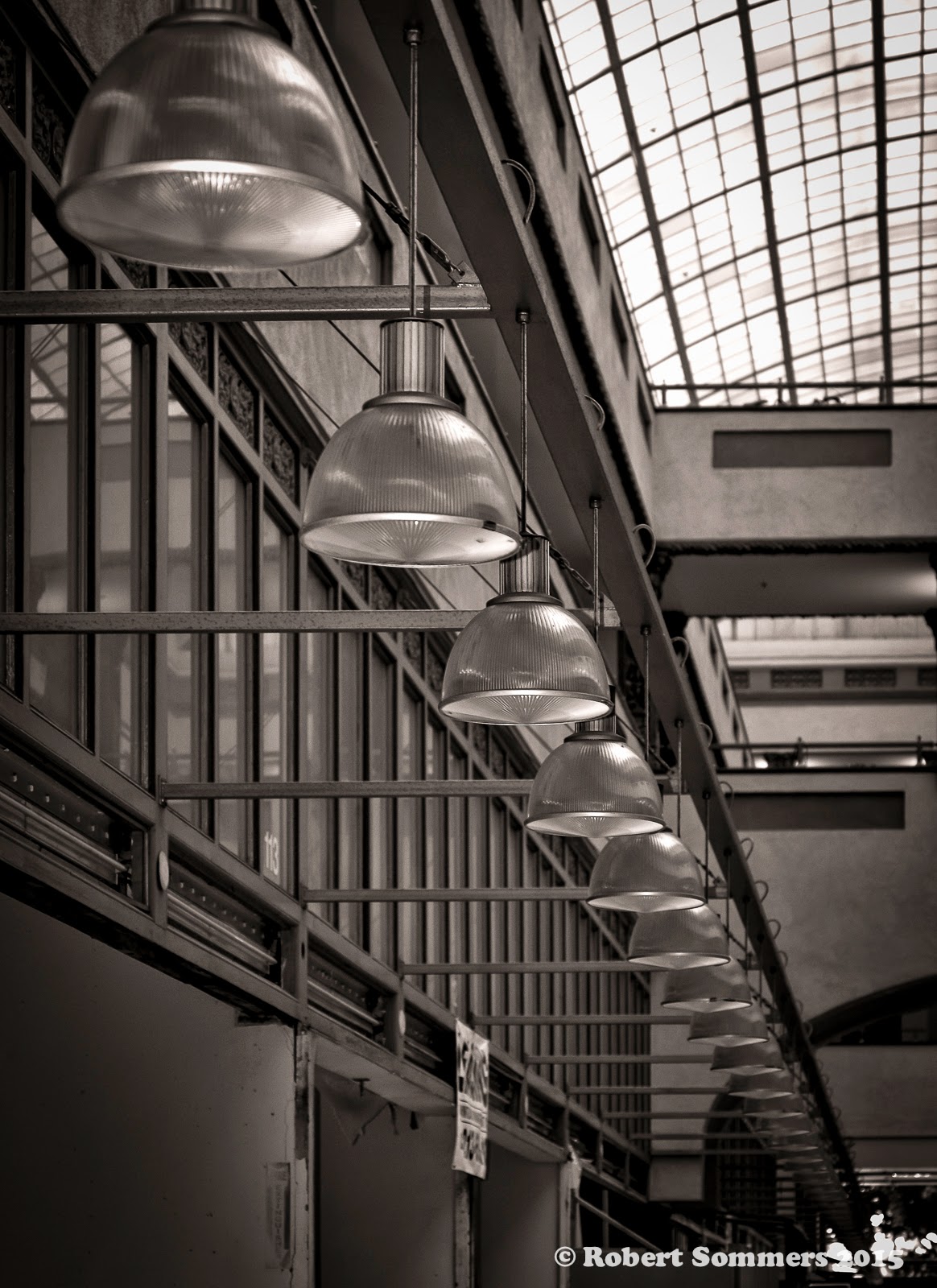 Blue Heron Blast February 2015