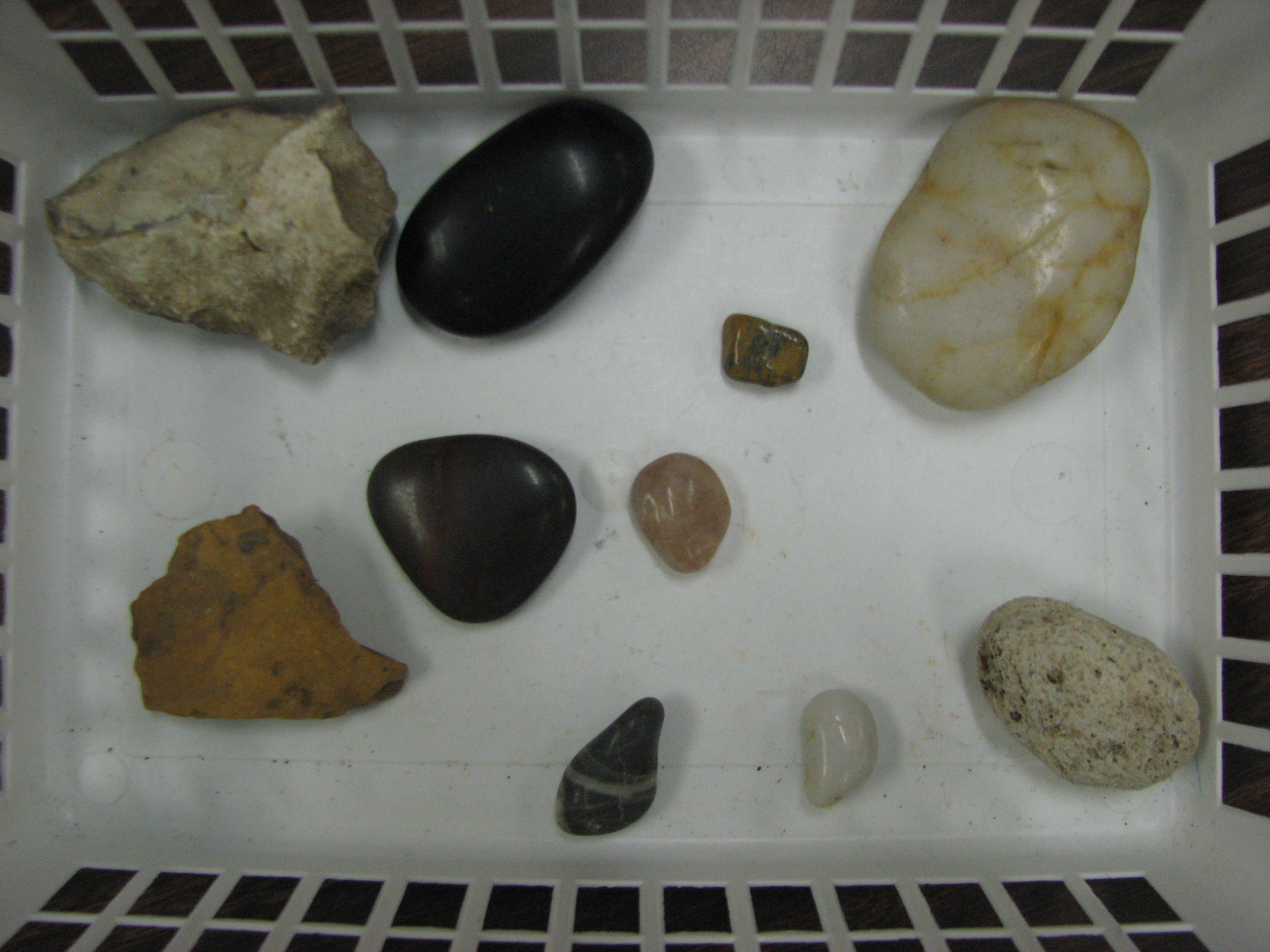 First Grade Randomness: Rocks and Soil Exploration