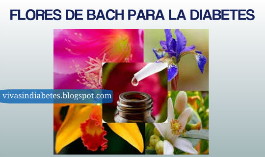 Las Flores de Bach: Una Excelente Terapia Alternativa Para Las Flores de Bach: Una Excelente Terapia Alternativa Para