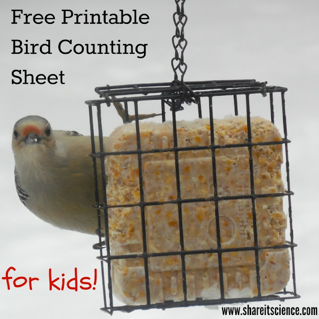 Share It Science Free Bird Counting Printable Great Backyard Bird Count Share It Science Free Bird Counting Printable Great Backyard Bird Count