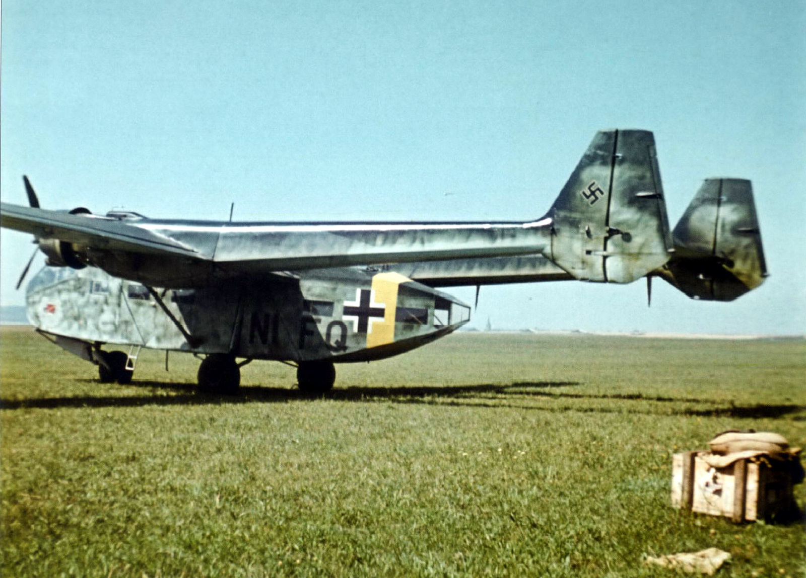 World War II in Color Gotha Go 244