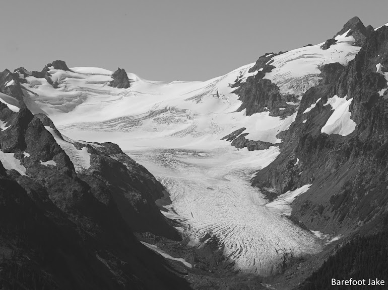 hoh glacier