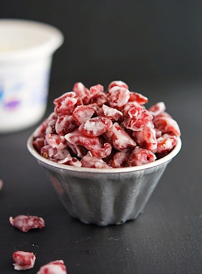 Yogurt-Covered Cranberries (A Paleo-ish Snack)