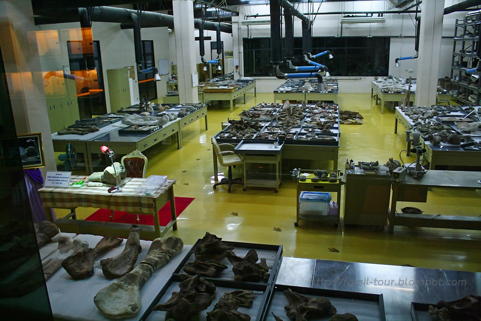 Vertebrate Paleontology Laboratory Phu kum khao Dinosaur Museum