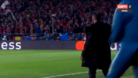 Cules - Página 2 Giphy