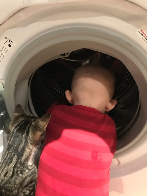 How to wash your baby and kitten A baby and a kitten looking into an open washing machine