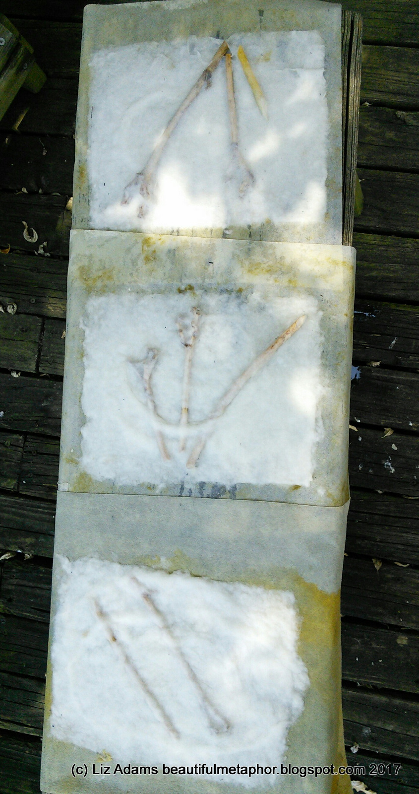 Art, the Beautiful Metaphor Paper Lamination