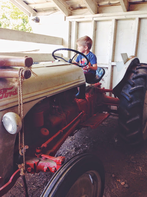 vintage-tractor