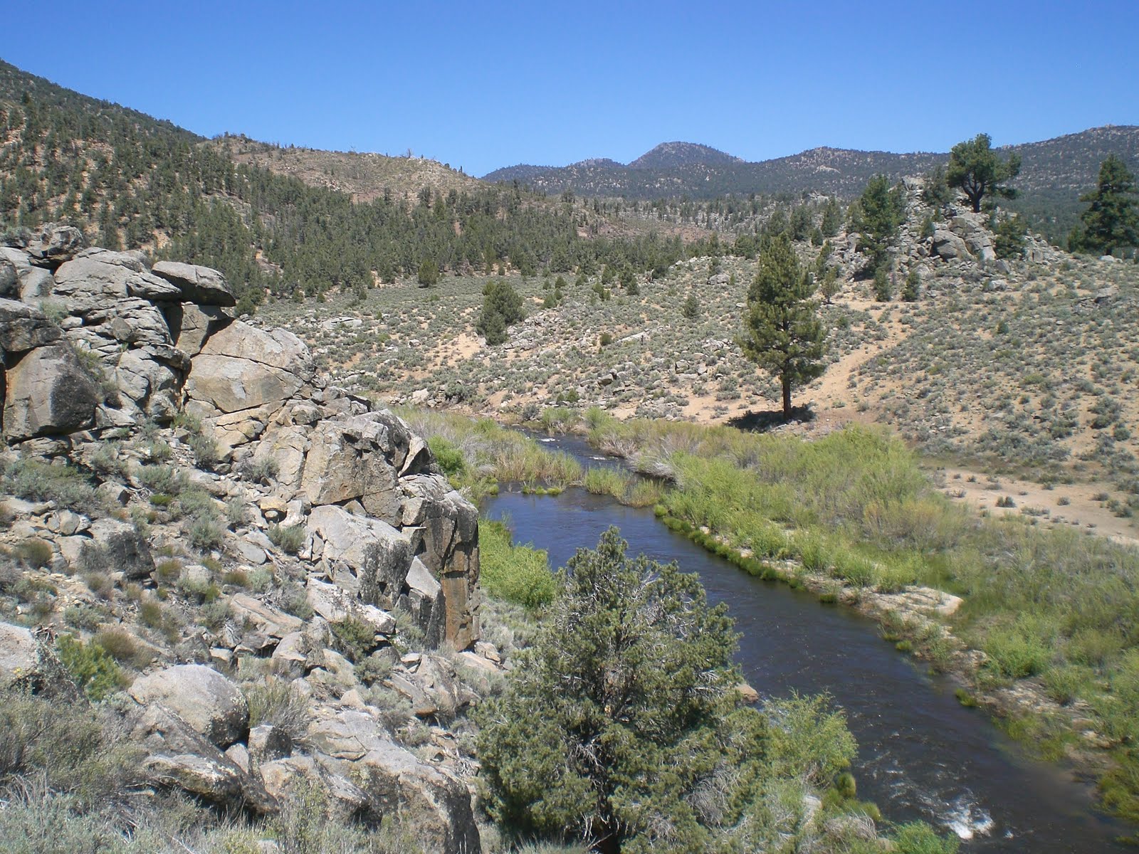 2663 Kennedy Meadows!!!!