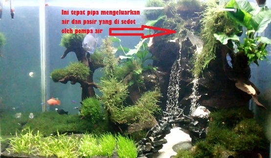 Cara Membuat Miniatur Air Terjun Berada Dalam Aquarium Bikin