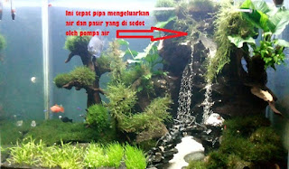 Miniatur Air Terjun Berada Dalam Aquarium