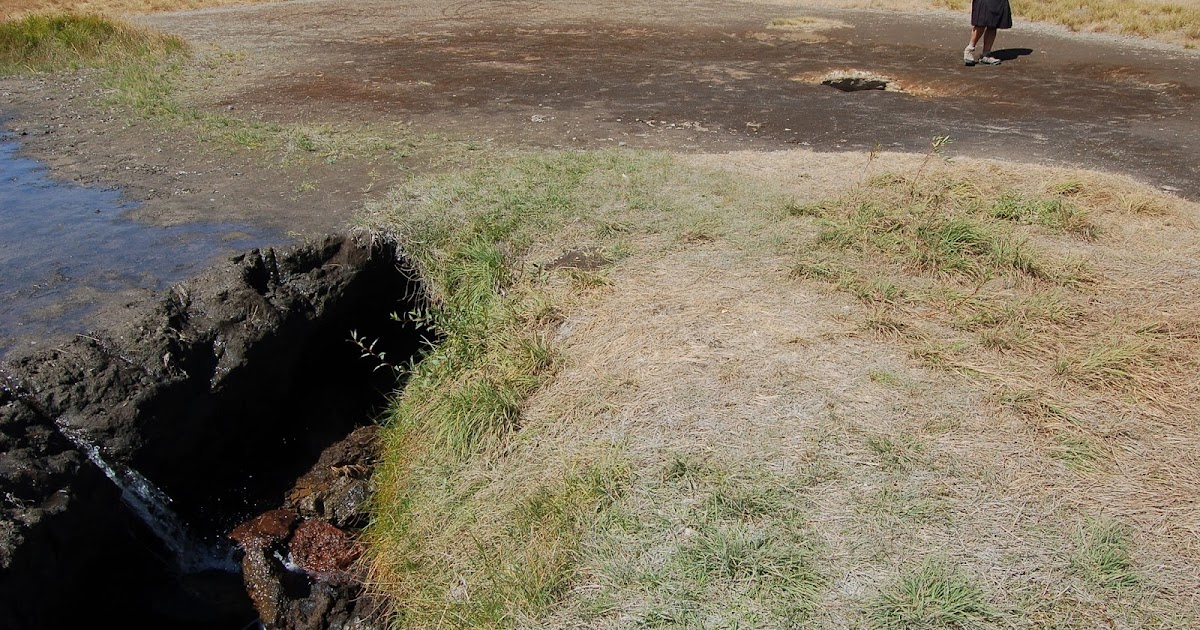 Outside The Interzone Geo 896 Drain Oregon!