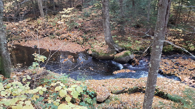 Ruisseau et petit étang