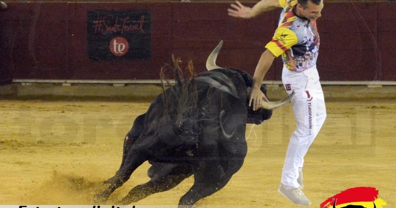 torodigital Fotos del concurso nacional de recortadores celebrado en