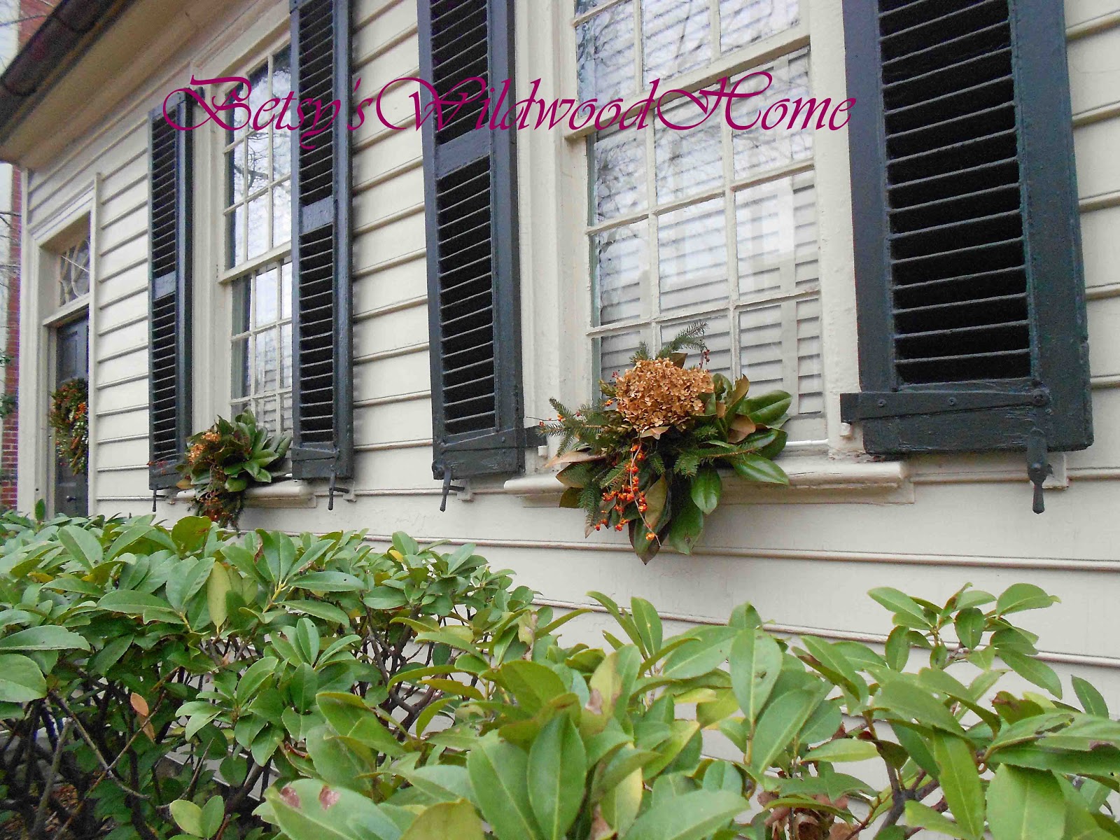 Wildwood Christmas Fredericksburg Va