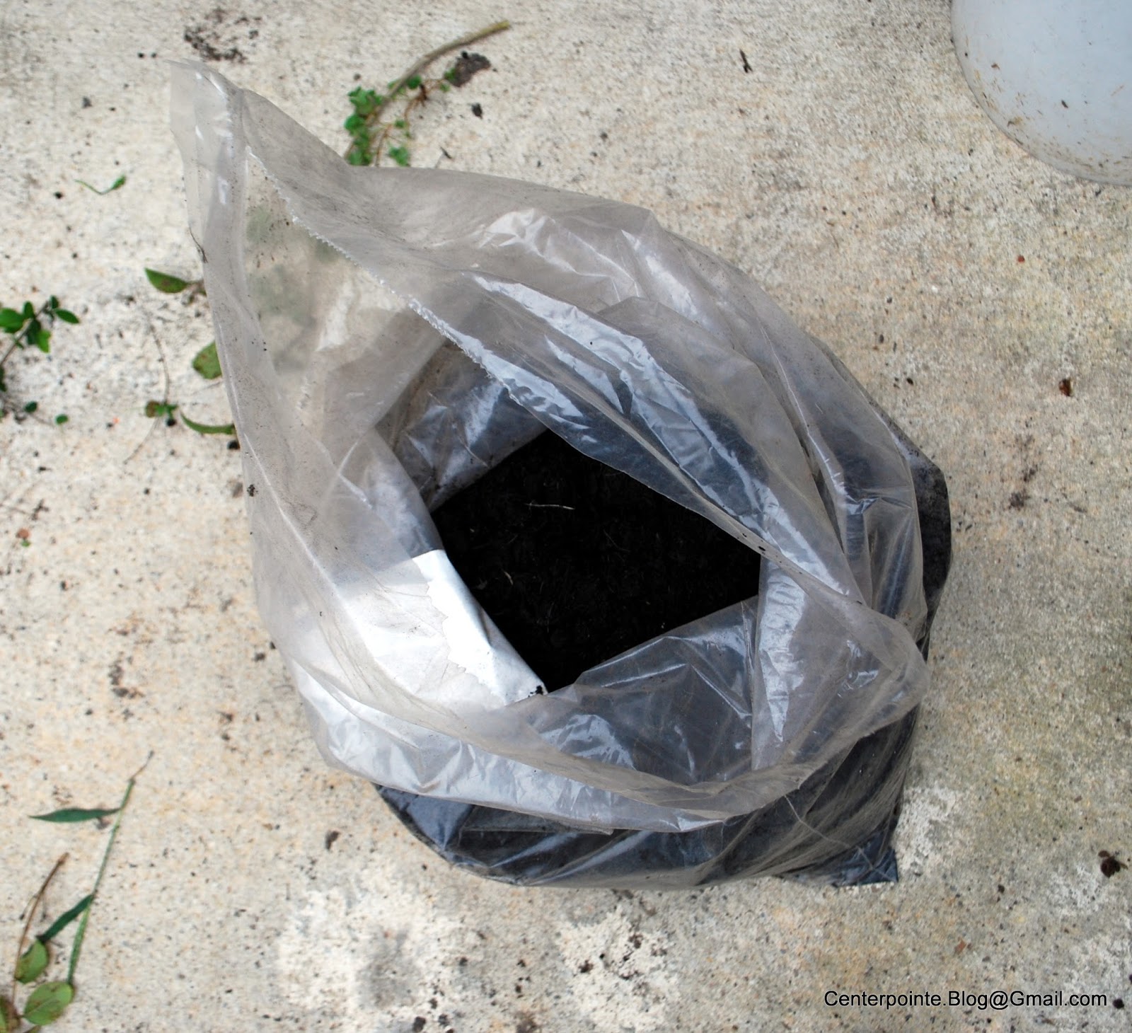 Centerpointe Communicator: Culvert planters, Part 3: Herb garden