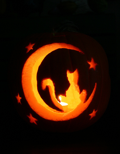 Cats Like Pumkin Cats Like Pumkin