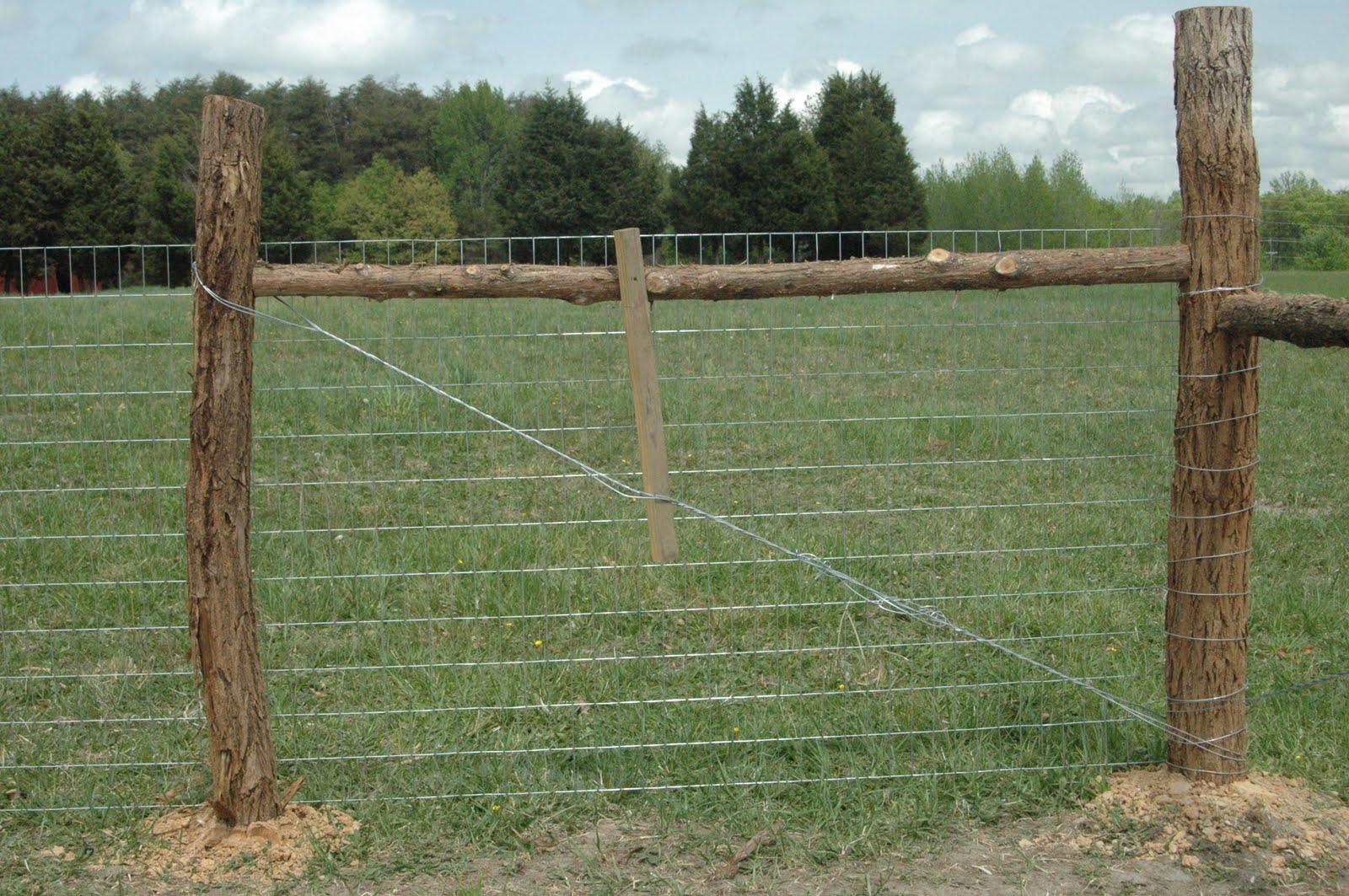 Green Legacy Farm Fencing, as in the Garden Green Acres Weekend Update