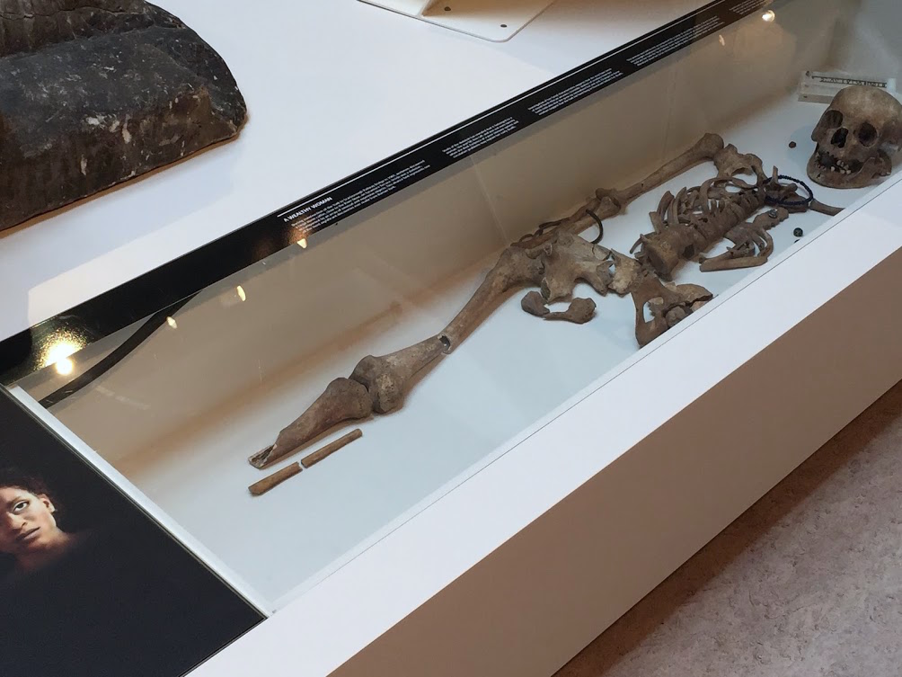 History Mysteries of Caroline Lawrence Ivory Bangle Lady My Story