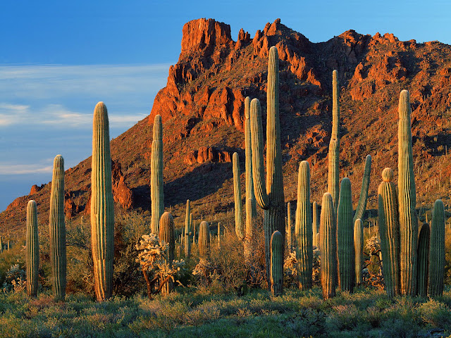 Paisajes de Arizona, Estados Unidos