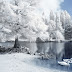 Download Free Winter Wallpapers