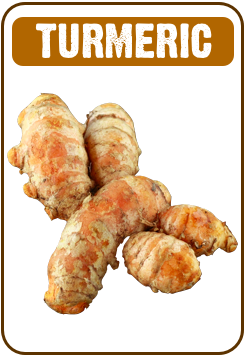 What is turmeric? What are the health benefits of turmeric