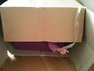 hiding in the box