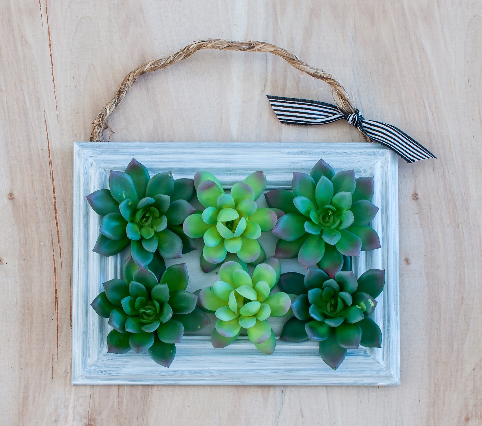 5 Minute DIY Framed Succulents The Dotted Nest