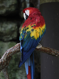 Grayscale Copy over Color; Mode Hard Light; Opacity 50% Grayscale Copy over Color; Mode Hard Light; Opacity 50%