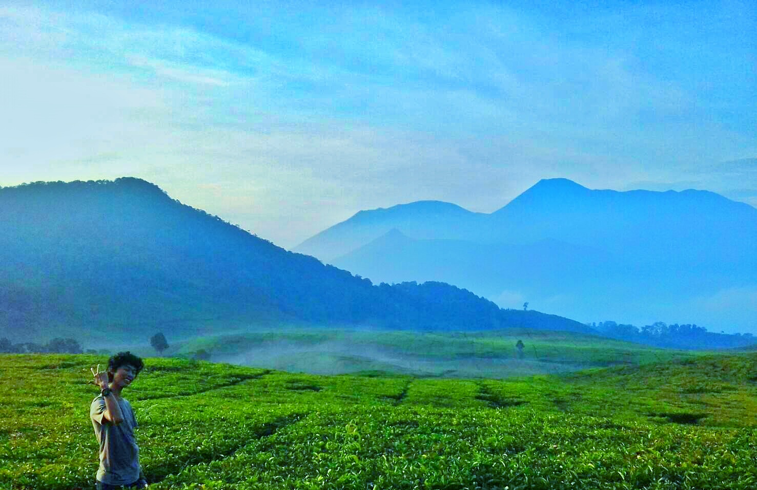 Pendakian dan Informasi Gunung Kencana Puncak Bogor - Rumah Mimpi