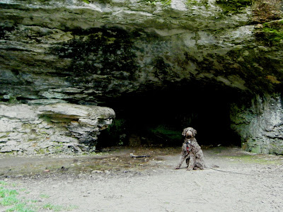 Alfie sitting at the mouth of a dark cave, overgrown with moss and ferns