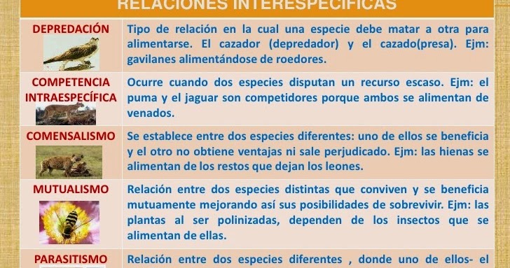 5 ejemplos de parasitismo mutualismo y comensalismo 5 ejemplos de parasitismo mutualismo y comensalismo