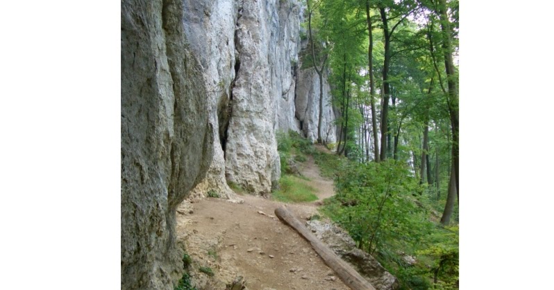 Megyei Matrica Határok | Pest Megyei Matrica Hatarok