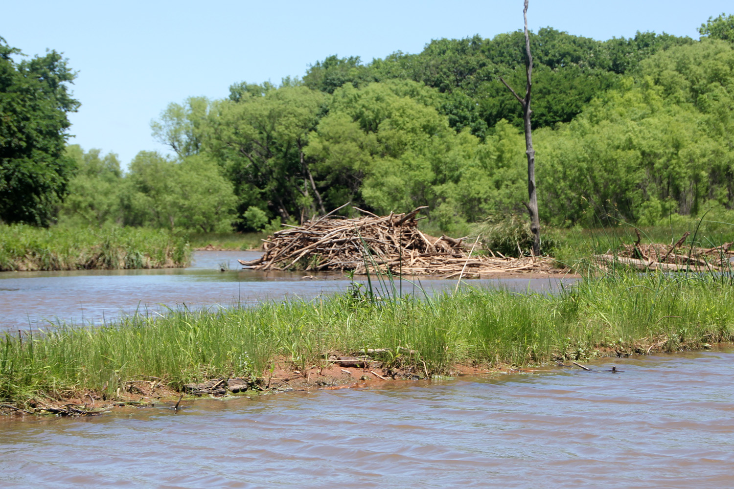Log of Ibi Crowder Lake Part 2