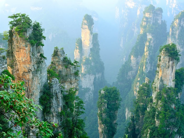 Amazingexplore The sandstone pillars of Wulingyuan Zhangjiajie Grand Canyon National Park, The world heritage beauty canyon