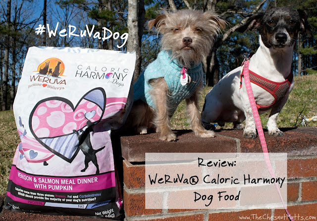 harmony food reviews review weruva 174 caloric harmony food weruvadog the chesnut mutts harmony food reviews review weruva 174 caloric harmony food weruvadog the chesnut mutts