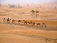 Caravana de Los Camellos