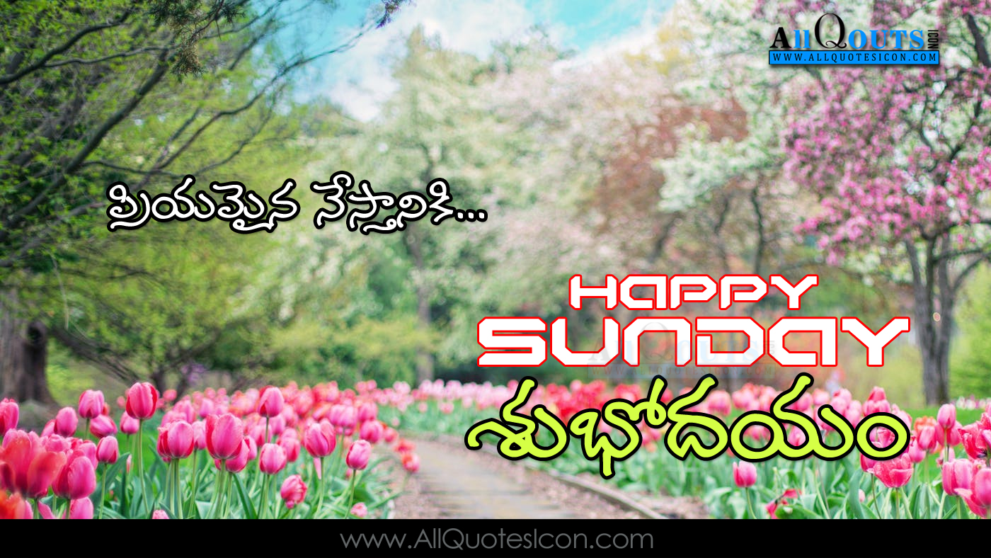 Dppicture Telugu Good Morning Happy Sunday Photos