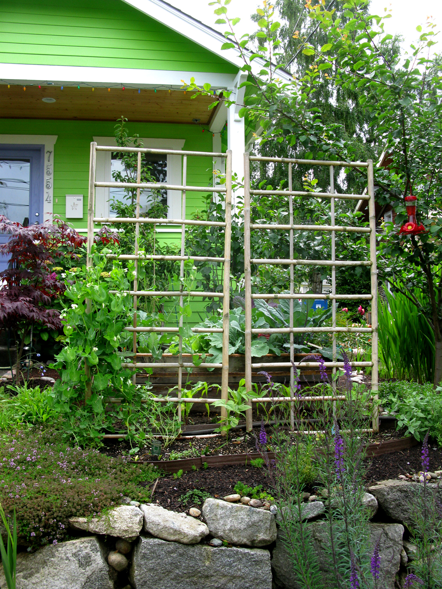 Growing Edibles in Vancouver, British Columbia Vegetables in the Front